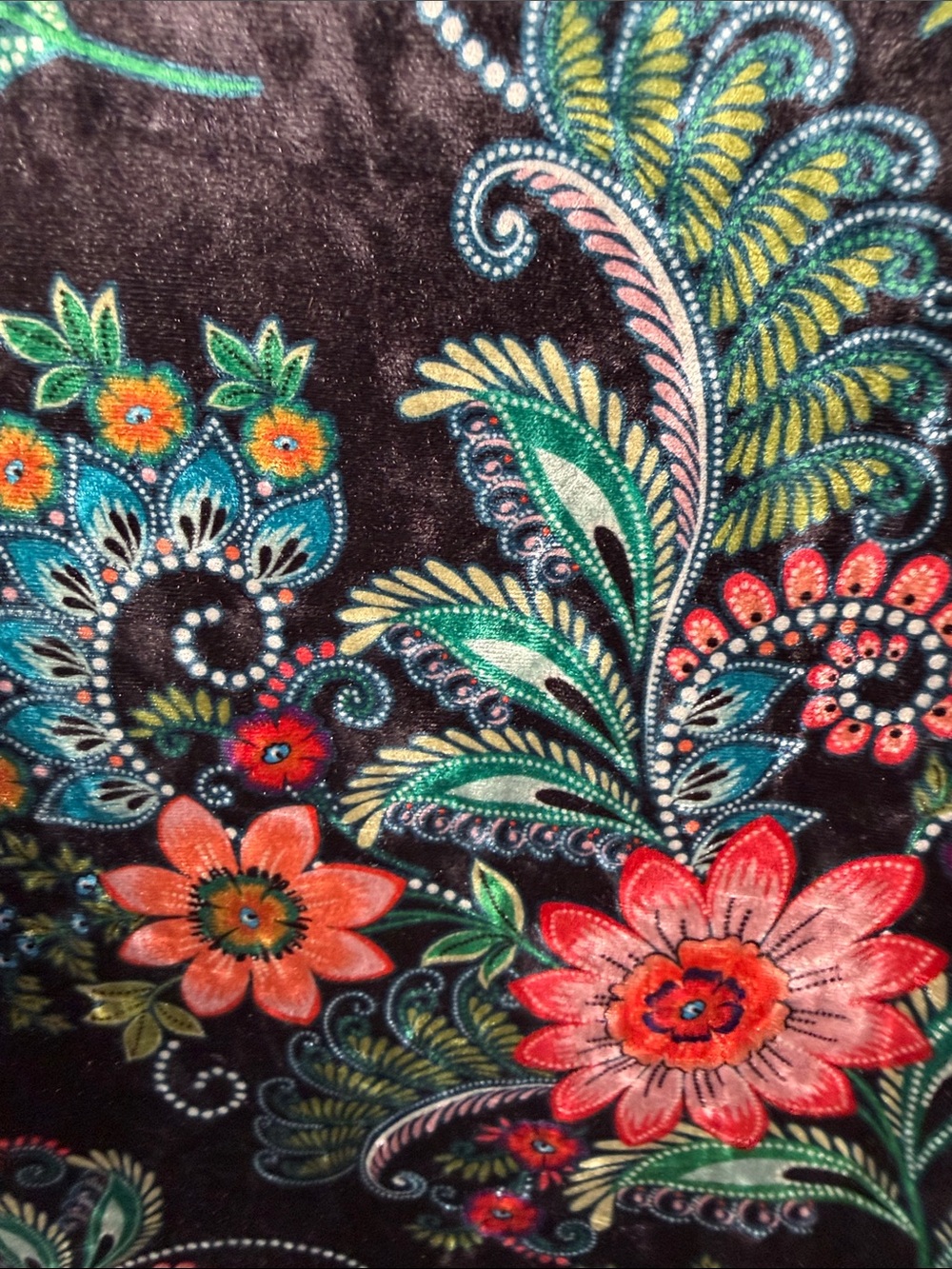 Molly Bracken Whimsical Dark Cottagecore Floral Paisley Black Velvet Dress - Picture 6 of 9